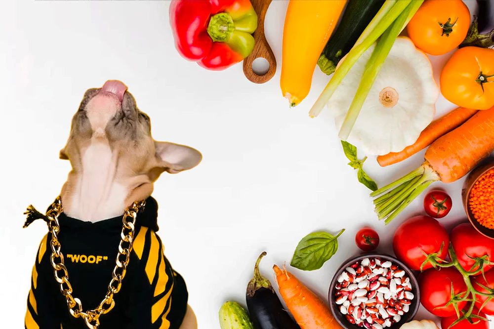 Alimentos prohibidos para mascotas: Lo que nunca debes darles para cuidar su salud