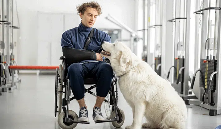 Cómo la terapia con perros en hospitales mejora la salud mental y acelera la recuperación de los pacientes