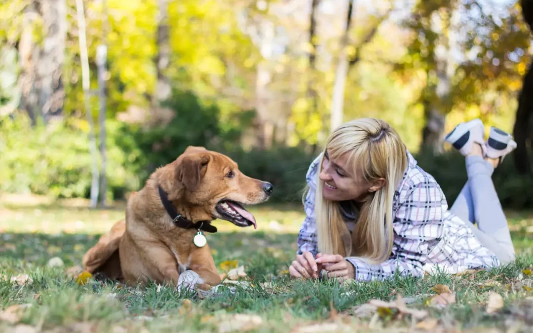 ¿Cómo hablar a los animales de compañía? Debate y opinión según la RAE