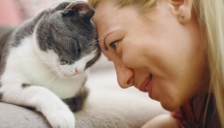 ¿Por qué los gatos son tan selectivos con las personas? Entiende la personalidad felina